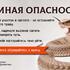 Змеиная опасность