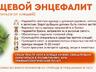 Сезон клещей